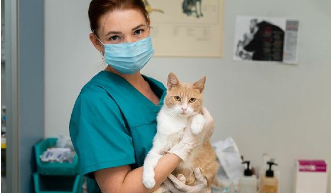 Кот орет, а собака убегает. Может, пора проводить стерилизацию?