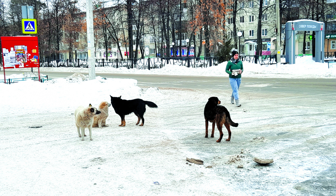Ловить нельзя отпускать
