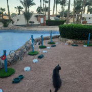 Жительница Артемовского о сестричках меньших: