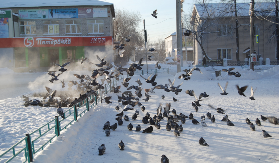 На Урале живем! Крещенские морозы отступают, но совсем не надолго