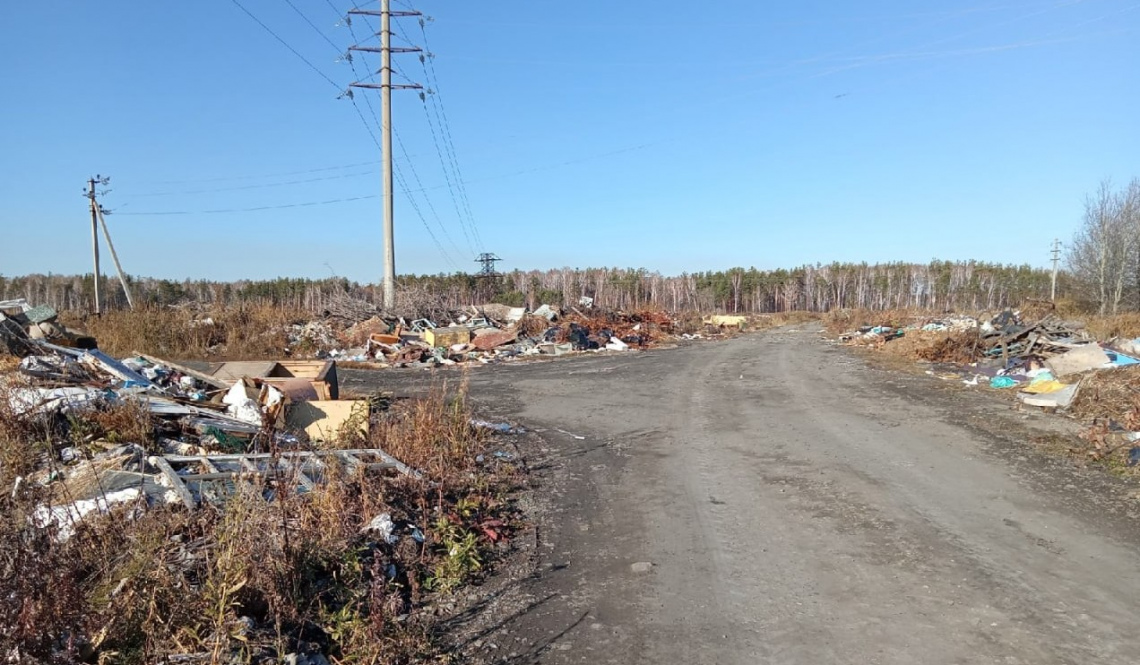 На уборку отходов 4,5 млн рублей Артемовскому выделило правительство области