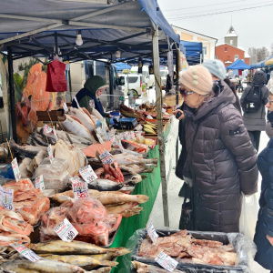Что почем на ярмарке в Артемовском