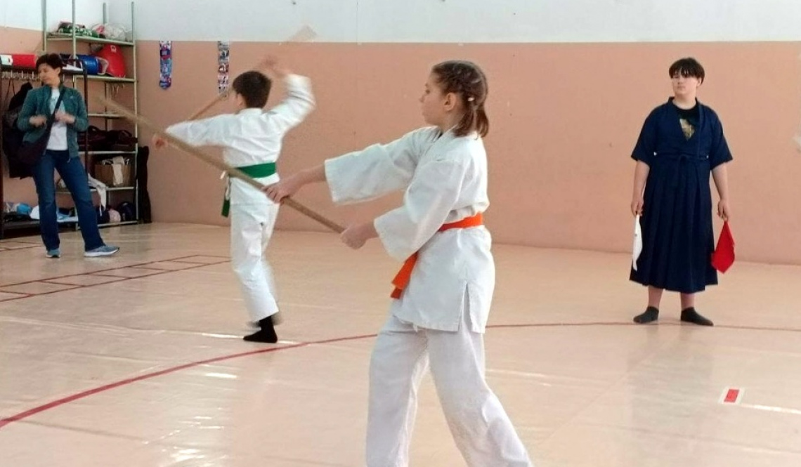 Артемовские «Самураи» и «Мирные воины» определили сильнейших в соревнованиях по айкидо и дзёдо