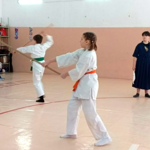 Артемовские «Самураи» и «Мирные воины» определили сильнейших в соревнованиях по айкидо и дзёдо