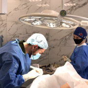 Дневной хирургический стационар новой поликлиники Артемовской ЦРБ принял уже 200 пациентов