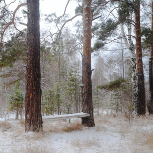 В Свердловской области ожидается аномально холодная погода