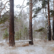 В Свердловской области ожидается аномально холодная погода