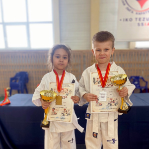 Триумф артемовского