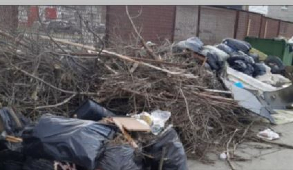 Ветки теперь вне закона. За сухостой у помойки можно получить штраф