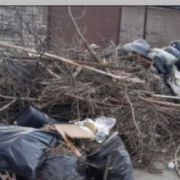Ветки теперь вне закона. За сухостой у помойки можно получить штраф