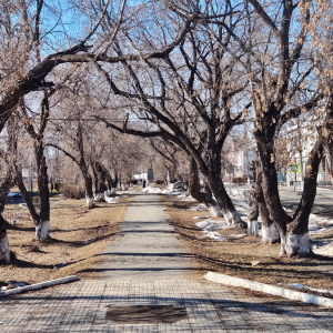 Для благоустройства в 2027 году в Артемовском будем выбирать один из двух скверов