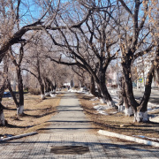 Для благоустройства в 2027 году в Артемовском будем выбирать один из двух скверов