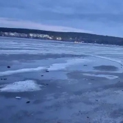 8-летняя девочка погибла, провалившись под лед пруда в Реже. Прокуратура проводит проверку