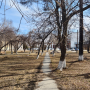 Голосование за комфорт в Артемовском: к двум плюс еще один сквер