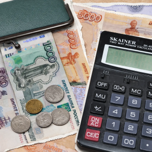 Электронные субсидии и компенсации — как артемовцам получить помощь, не выходя из дома