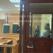 Приговор за мошенничество: жительница Артемовского отправится в колонию на 7 лет