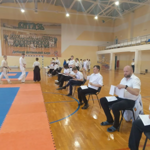 Спортсмены стали судьями. Артемовцев пригласили работать на турнире федерального уровня