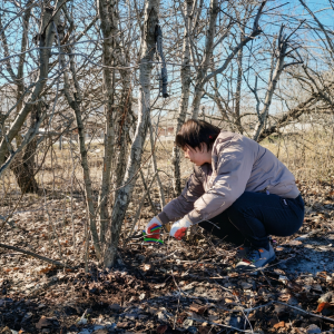 Весенний марафон чистоты! Артемовцев приглашают на общегородской субботник