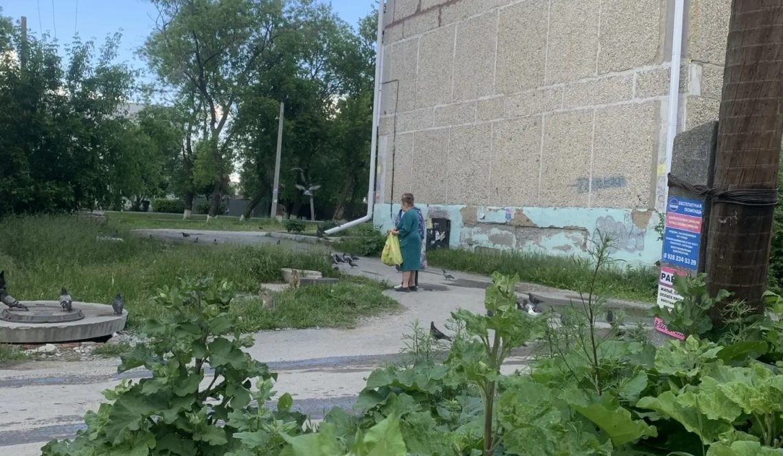 "Наши соседи кормят бездомных артемовских собак и кошек". Это нарушение?