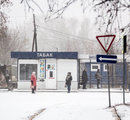 Снег если и будет, то скоро растает. А вот морозы не уйдут.