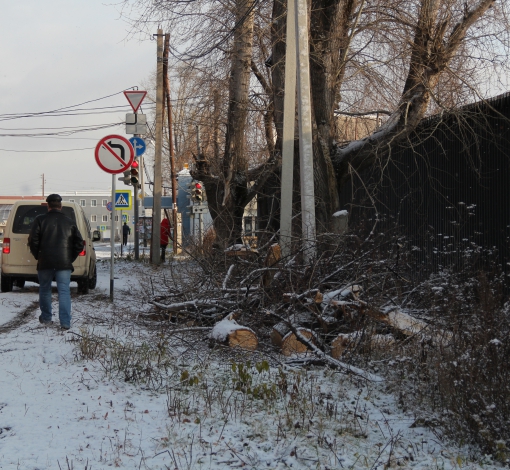 Повезло, что дерево упало за секунду до проезда машины Артемовской ЦРБ.