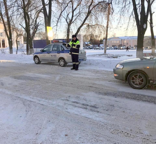 У госинспекторов нет выходных и каникул. В праздник для них - самая работа!