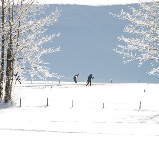 Артемовские лыжники неплохо выступают в сезоне.