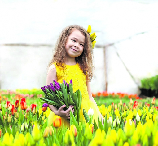Когда в феврале на Урале  цветут   тюльпаны -   это настоящее волшебство