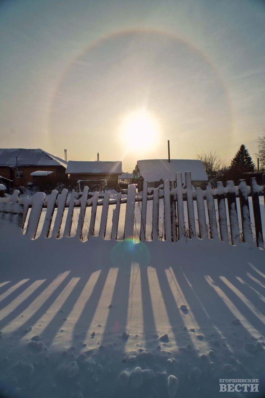 Круг возле солнца образуют кристаллы льда. Они светятся отраженным светом. Фото: Александр Скутин.