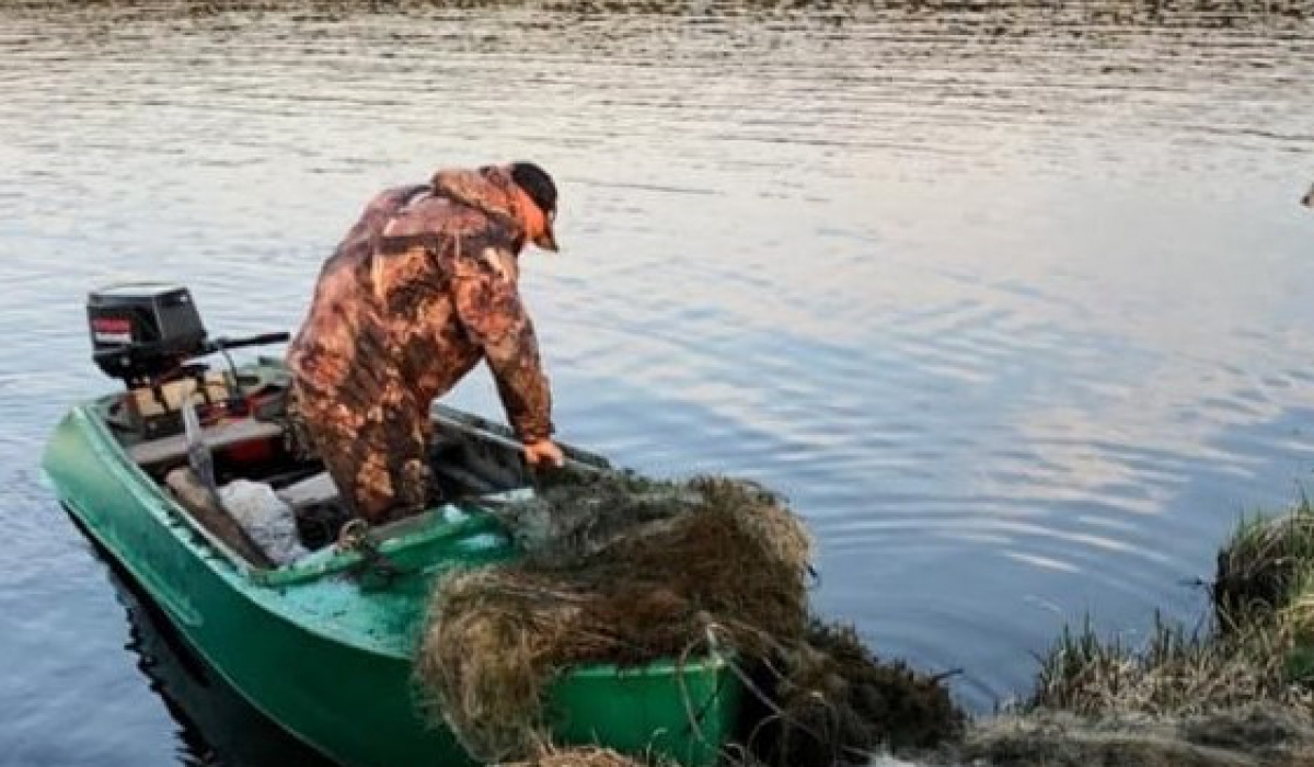 Ежегодно на Красногвардейском пруду рыбохрана собирает десятки сетей
