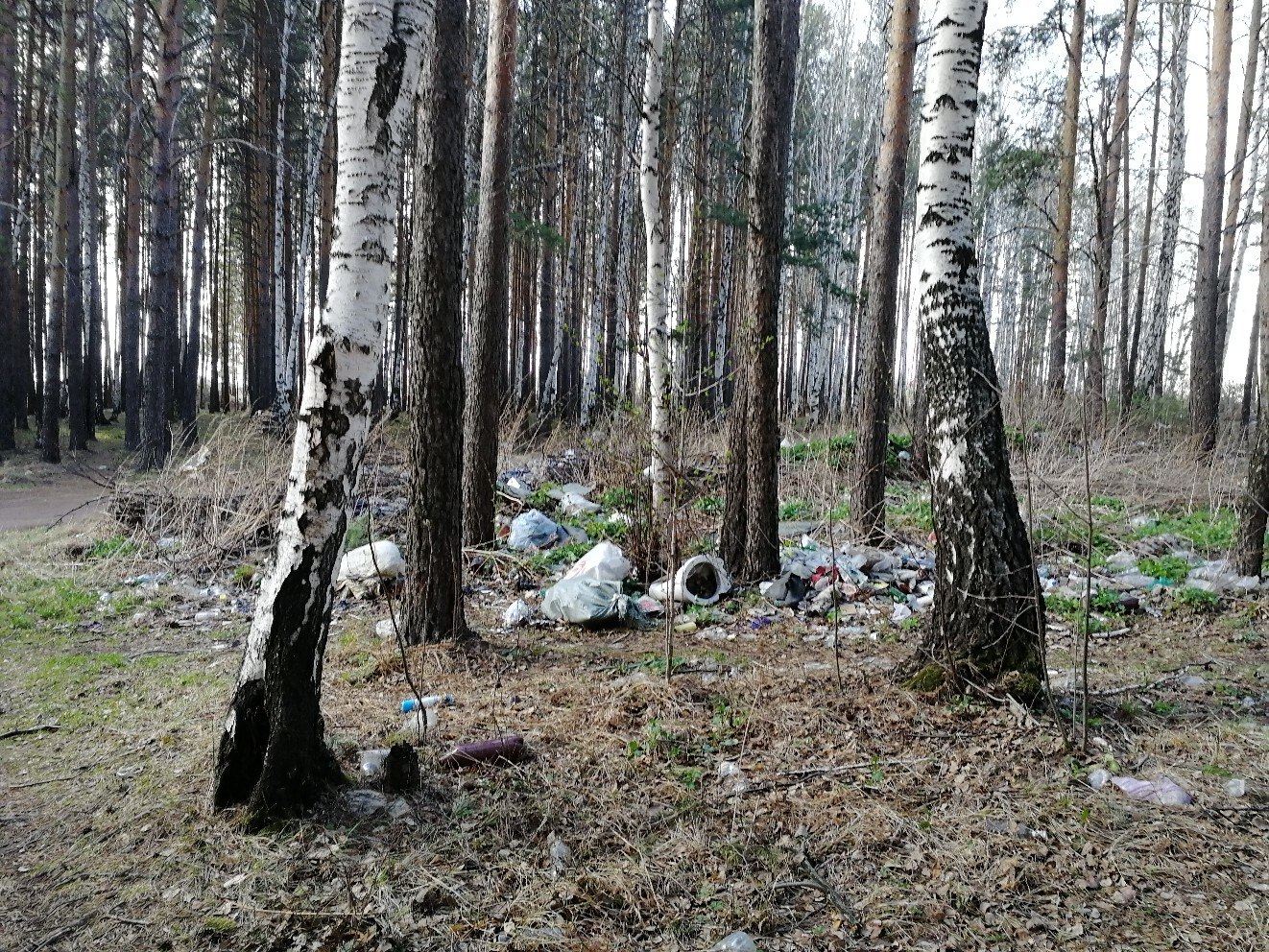 Гисметео буланаш свердловская область