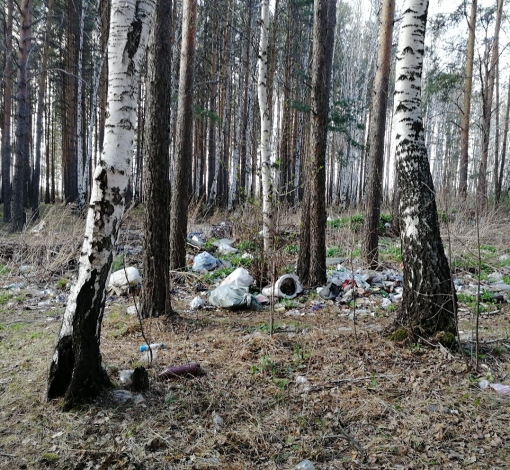 Без дворников и экологов территория поселка была загажена