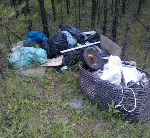 Все ненужное жители деревни сваливают в лес