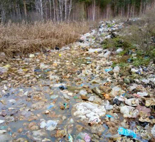 На свалке у Буланаша мусор попадает в воду.