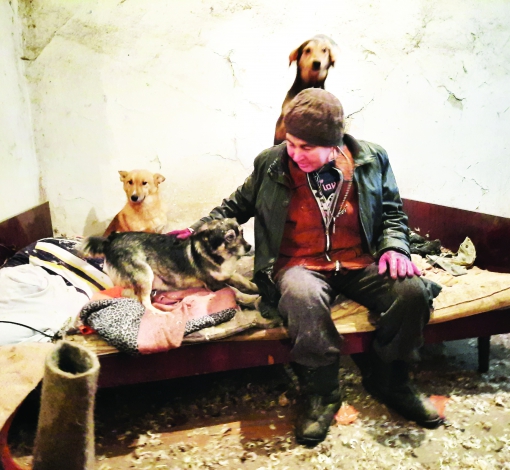  Жительница Покровского Светлана в спальне в окружении четвероногих «грелок».