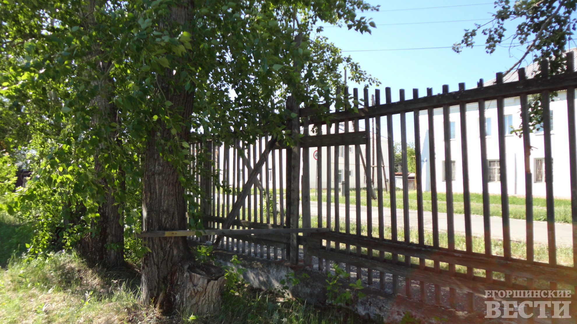 Весь забор с фасадной части предписано ОМВД заменить на надежный, высотой не менее 2,2 метра. Фото: Андрей Москвитин, 