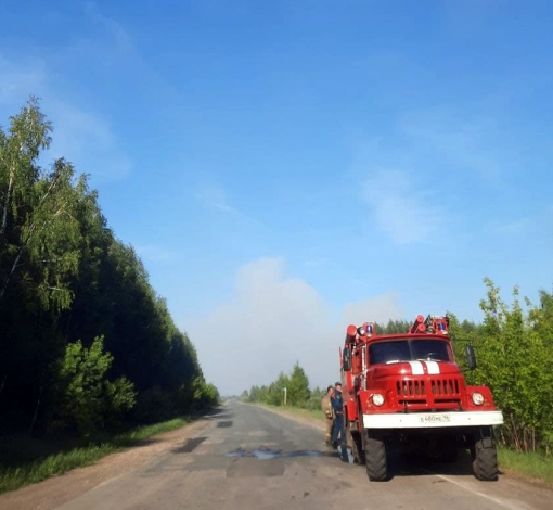 Трава горит в разных частях Артемовского района.