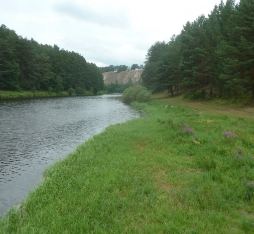Берег реки у села Мироново - популярное место отдыха.