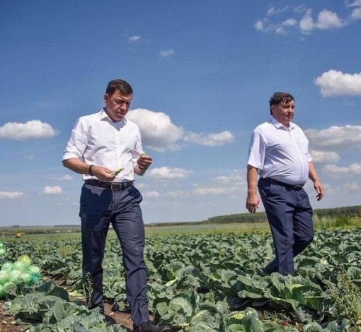 Губернатор Куйвашев услышал просьбу сельхозпроизводителей - режим ЧС даст им возможность поправить экономику.