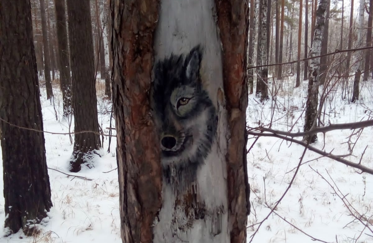 У просеки никитич осторожно выглянул из чащи. Волк выглядывает. Волк из-за дерева. Оборотень выглядывает из за дерева. Выглядывает из-за дерева.