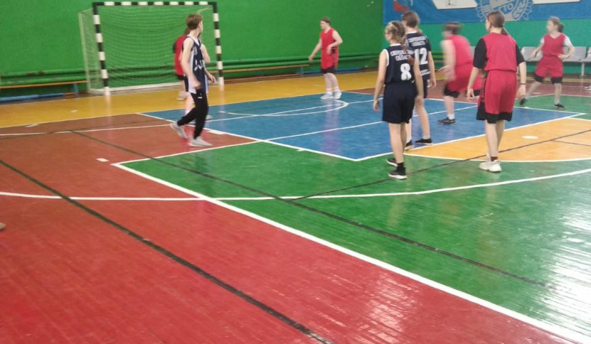 Баскетболистки богдановича вводят мяч в игру