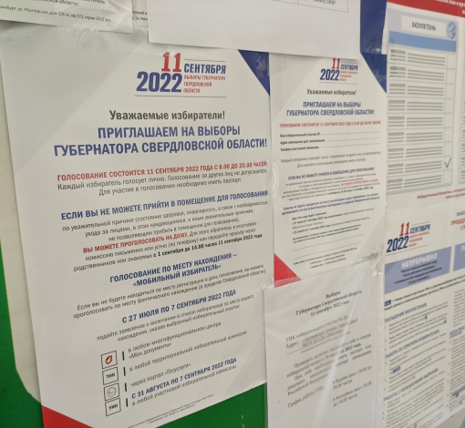 Жители Лисавы, Антоново, Сарафаново и Березняки могли проголосовать досрочно - в своих населенных пунктах.