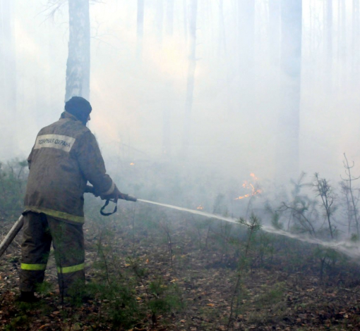 В Артемовском районе тушат пожар в 15 км от Красногвардейского.