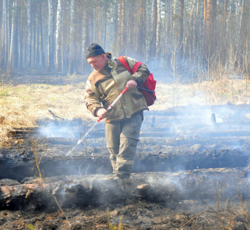 Лесные пожары часто переходят в почвенные, которые тушить очень сложно.