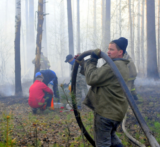 В мае артемовцы с большим трудом отстаивали от огня каждый не охваченный пламенем кусочек леса. 