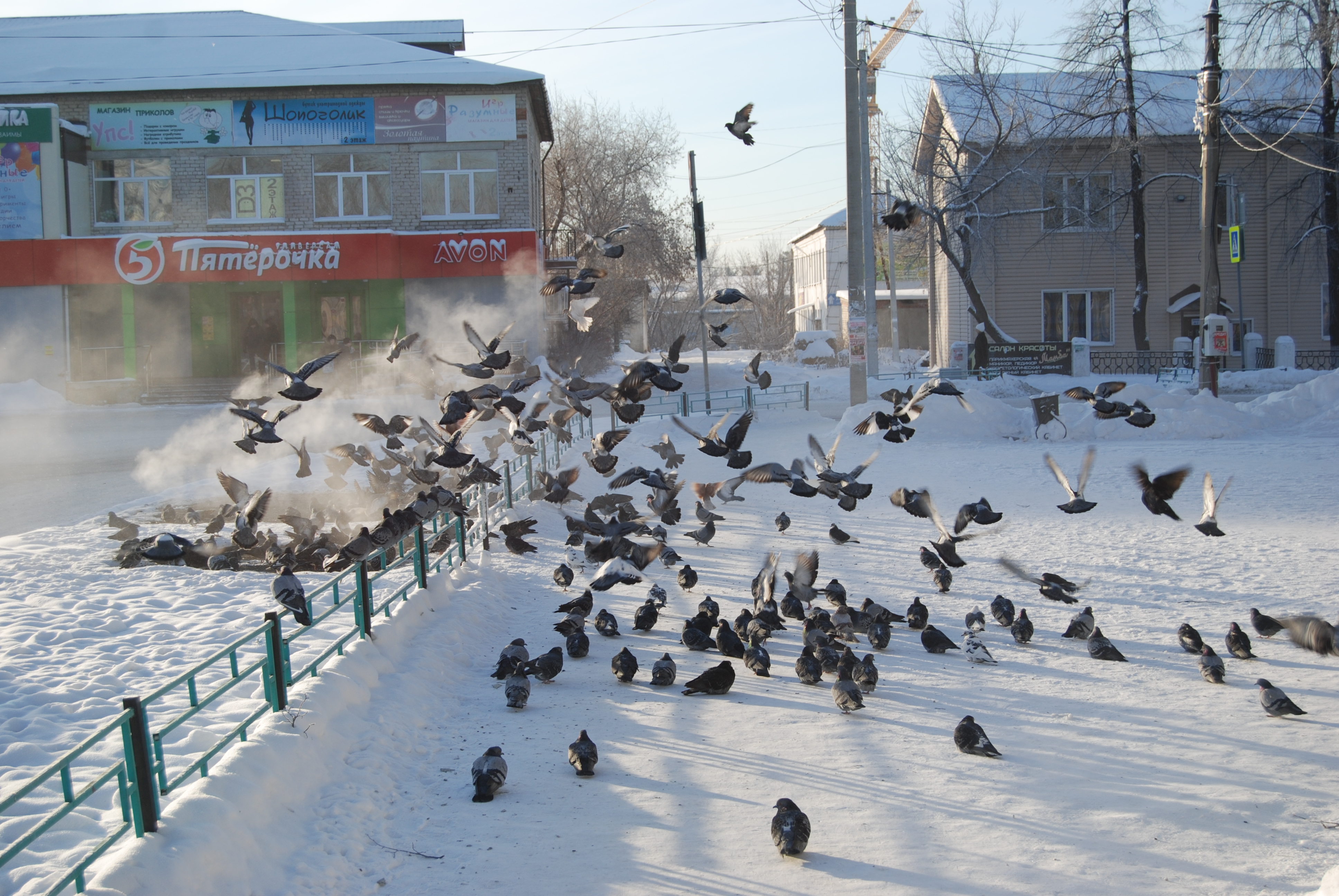 Застыли реки и земля остыла. Мороз в Артемовском