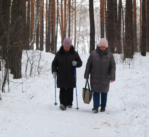 Прогулки по сосновому лесу и летом и зимой укрепляют здоровье и приносят хорошое настроение.