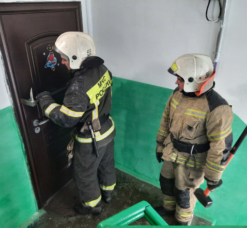 Пожарные хотели взломать квартиру, чтобы спасать хозяйку.