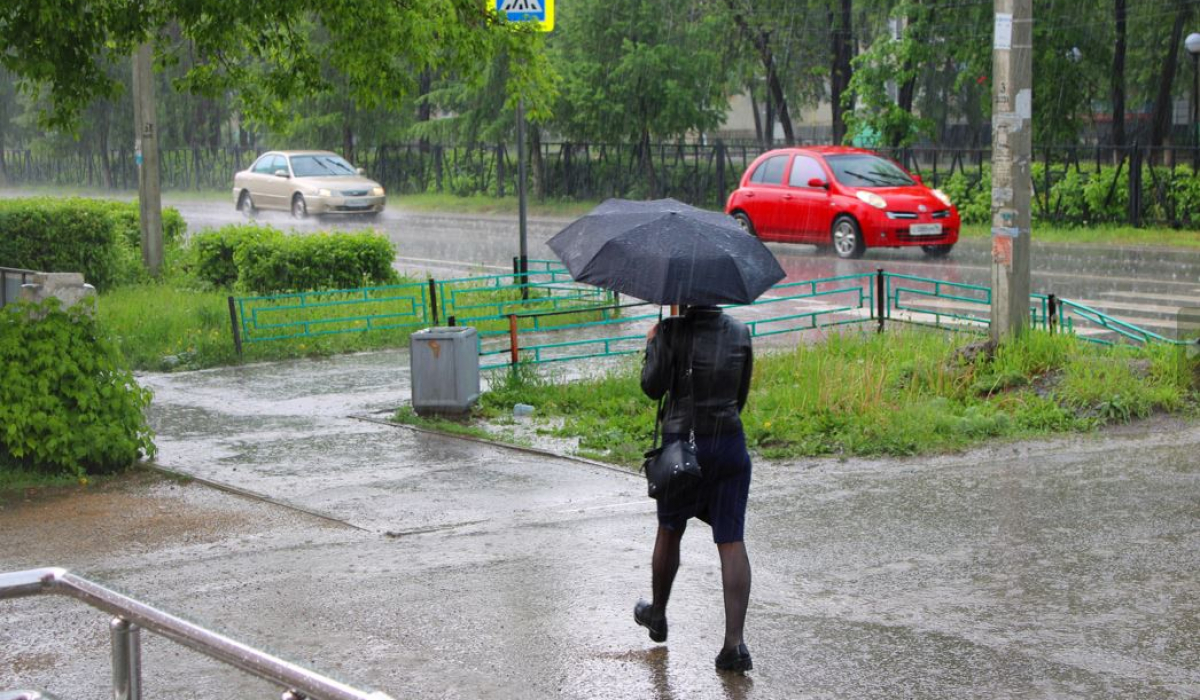 Дождь, долгожданный дождь! Изнурительная жара спала на время