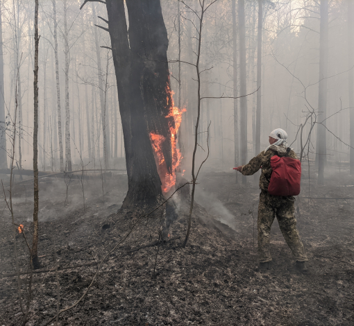 На спасение лесов и целых поселков от лесных пожаров в Артемовском районе выходил и стар и млад.   